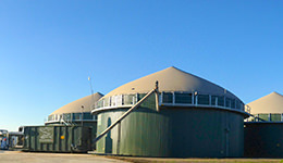 biogas